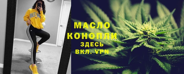 молекула духа Горнозаводск