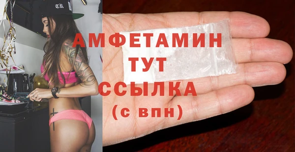 молекула духа Горнозаводск