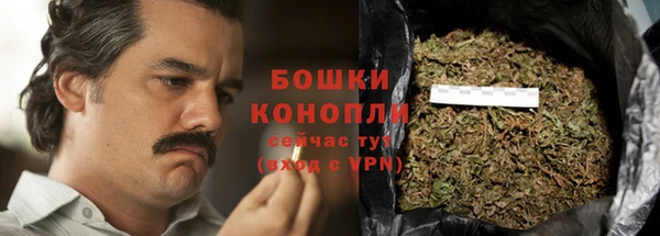 молекула духа Горнозаводск
