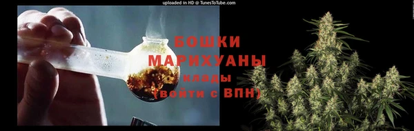 прущая мука Горняк