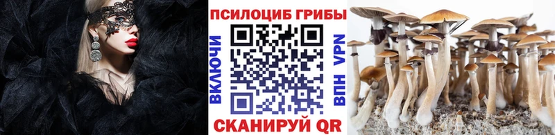 Купить  Нальчик  Галлюциногенные грибы Cubensis 